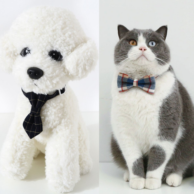 Acessórios para Pets - Mini Gravata tradicional e mini gravata  borboleta
