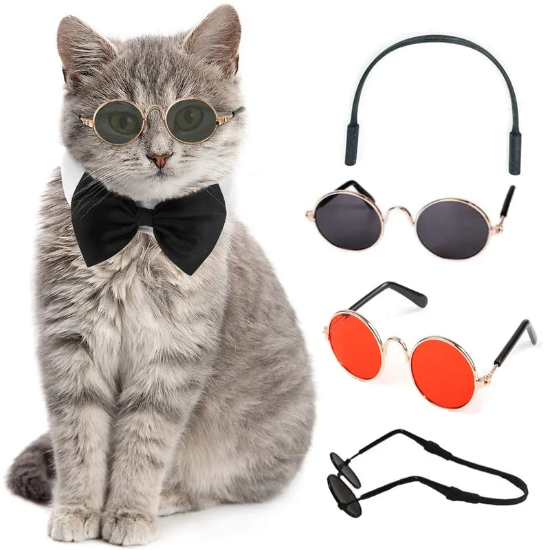 ACESSÓRIOS PET - Mini Óculos de Sol para cães e gatos